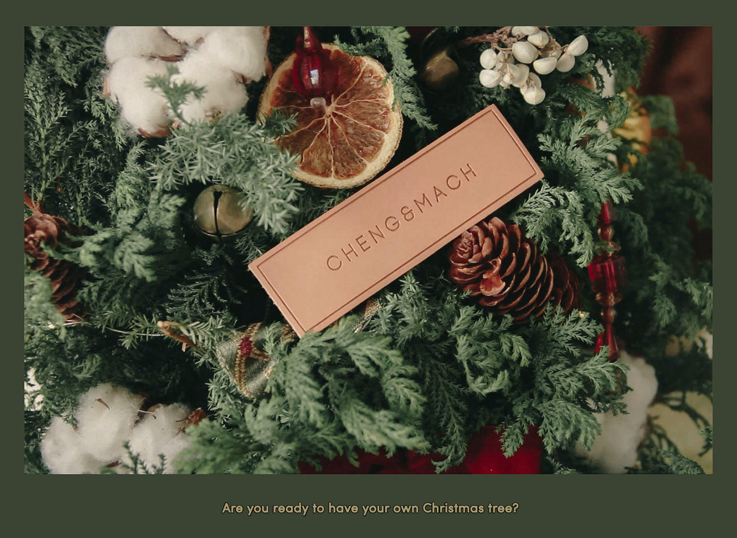 廢物人妻 X Cheng and Mach全台最美聖誕樹 - 第11張圖